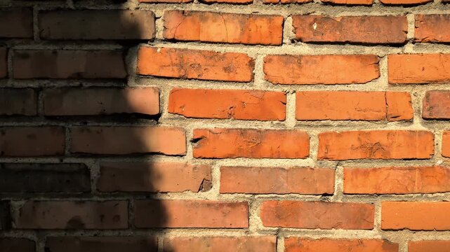 Horizontal static shot of old red brick wall with dynamic tree shadows dancing in sunlight, rustic exterior texture, warm evening light, candid nature and urban mix.