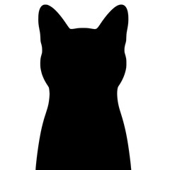 Black cat shadow © Breck