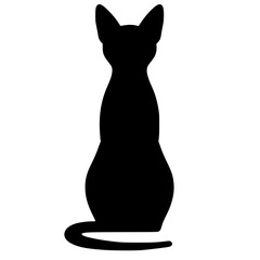 Black cat shadow © Breck