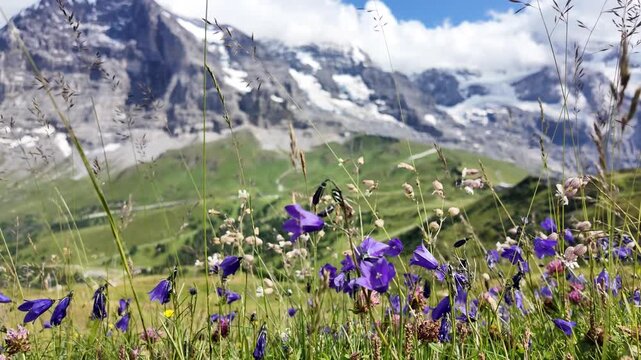 Eiger, Jungfrau, M&ouml;nch, Breathtaking Alpine Peaks from M&auml;nnlichen Hiking Trail