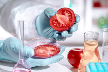 Gloved hands hold a fresh halved tomato in a food laboratory; blurred background, glassware and...