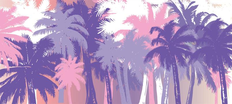 Palm, summer set, hand drawn illustrations, vector.	

