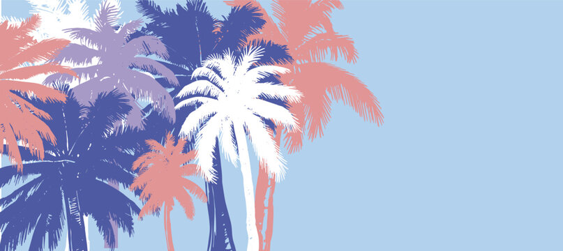 Palm, summer set, hand drawn illustrations, vector.	
