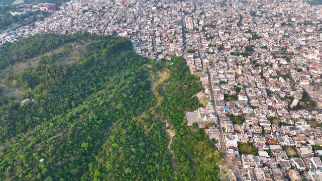 Drone Tilt up reveal highlighting deforestation and stark boundary between concrete buildings and woods.
