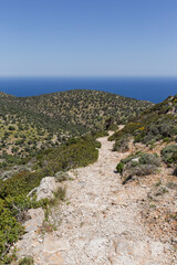 Obraz premium Lush and hilly landscapes along the Katholiko (or Avlaki) Gorge trail in Crete, Greece, on sunny day.