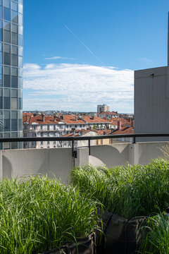 Terrace grasses frame a skyline in Lyon, France, with rooftop greenery and urban architecture opening toward the city under summer sky