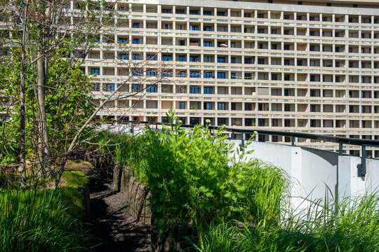 Plants lead from a terrace in Lyon, France, toward facade architecture, where urban greenery gives the building exterior depth and scale