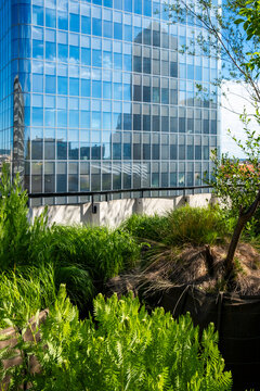 Reflection and greenery animate a glass facade in Lyon, France, creating a vertical urban architecture study around a modern building