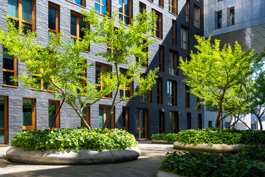 Trees and greenery soften a courtyard at La Confluence in Lyon, France, where residential architecture frames an urban facade with shade