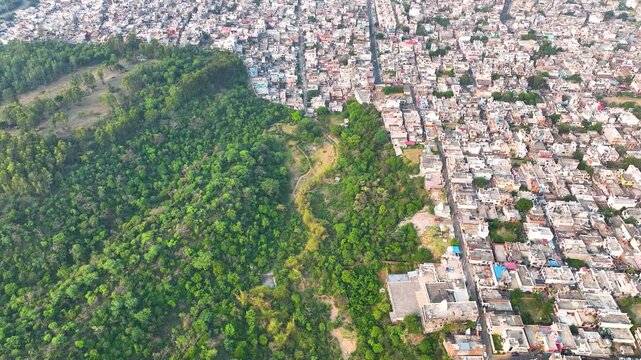 Drone shot highlighting deforestation and stark boundary between concrete buildings and woods.