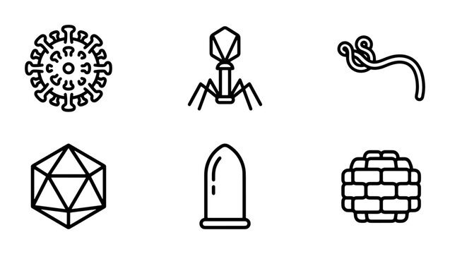 Microbe Icons Set: Virus, Bacteriophage, Bacteria, Icosahedron, Condom, Cell Wall Vector Graphics