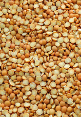 Fototapeta premium Pea grains in big pile on table close up. Large amount of yellow pea seeds