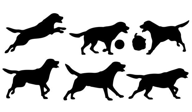 Labrador retriever dog silhouettes collection in various active poses