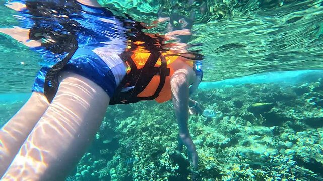 Clear water reveals vibrant coral reef below. Person floats gently, wearing orange life vest. Fingers reach toward sea life, curious and calm. Sunlight dances on surface, creating shimmering patterns
