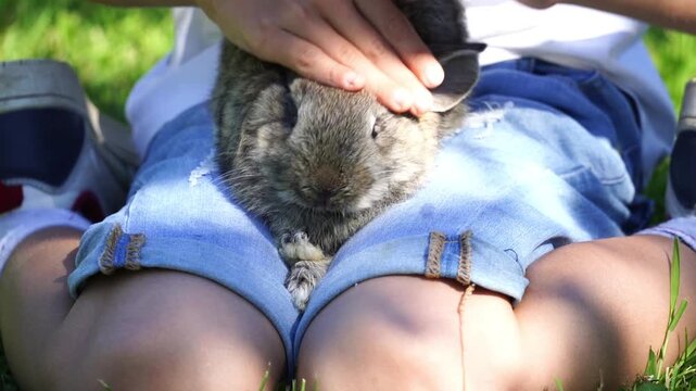 Child caresses a small rabbit gently on their lap. Sunlight glints off soft denim shorts and bare skin. The rabbit appears calm, nestled close to the child's hands