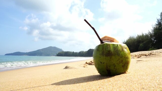 Coconut rests on warm sand. Sunlight glints off gentle ocean waves. Tropical trees line distant shoreline. Clear sky holds soft drifting clouds. Coconut's green husk shows natural texture