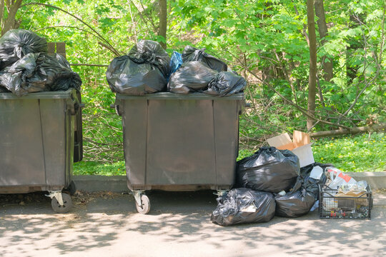 Black trash cans. Garbage, waste lots, junk dump. Dumpsters being full with garbage. Sunny day in summer.