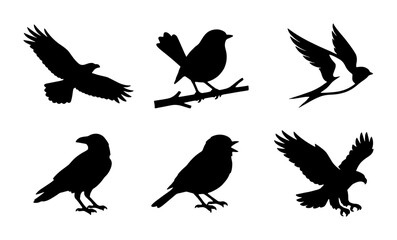 Fototapeta premium Bird Silhouettes Collection: Avian Wildlife Vector Icons for Nature and Freedom Themes