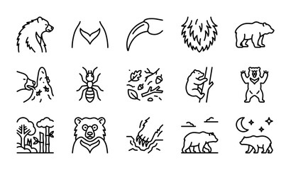 Bear Icons Set, Wildlife Vector Graphics, Forest Animals, Nature Elements © Jahidul
