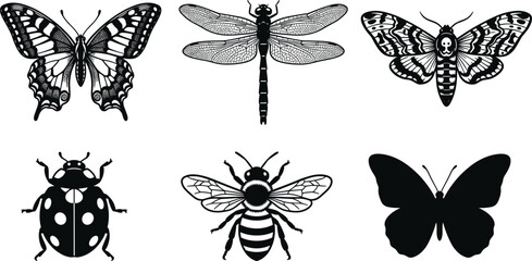 Butterfly dragonfly moth ladybug bee insect icons, decorative artwork vector illustration element for nature, wildlife, and entomology design © MD AMINUR