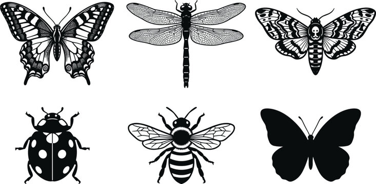 Butterfly dragonfly moth ladybug bee insect icons, decorative artwork vector illustration element for nature, wildlife, and entomology design