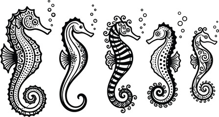 Seahorse decorative illustrations with ornate swirls dots bubbles designs, decorative artwork vector illustration element for marine, ocean, and aquatic design © MD AMINUR