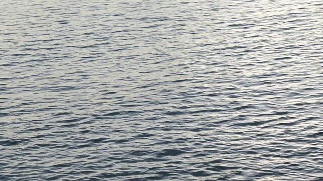 BELLAS ONDULACIONES EN EL AGUA