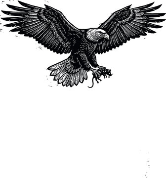 Majestic Bald Eagle Landing Vector Illustration with Outspread Wings and Intricate Feather Details for Wildlife Conservation Themes Patriotic Logos Powerful Brand Identity and Vintage Graphic Design