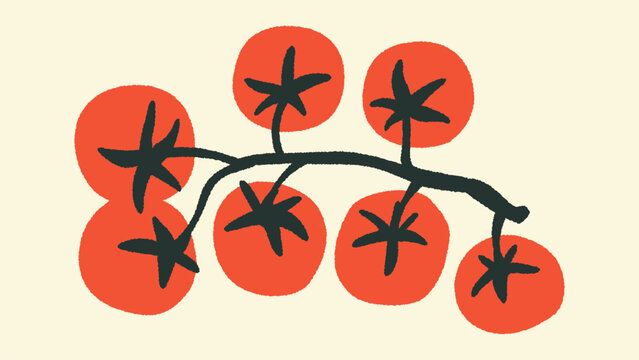 Tomatoes branch vector illustration. Not AI