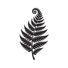 Silver fern leaf vector silhouette, black botanical frond icon on white background, koru spiral fern branch for nature branding and logo design © Adnan