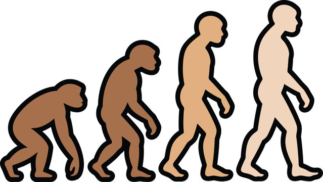 Human evolution icon in silhouette progression style isolated on white


