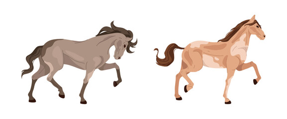 Horses running or walking, isolated stallions of different breeds. Vector set of mammals with muscles, mane and tail visible. Farm animals collection for race with spotted fur texture © Sensvector