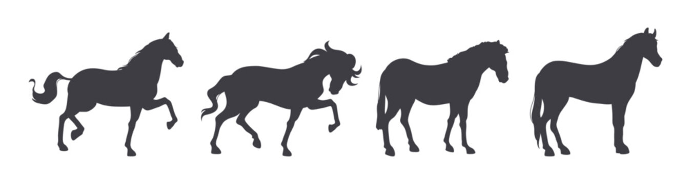 Collection of horse silhouettes, isolated animals in different positions and actions. Vector stallions shadows in walking, trotting and standing positions. Domestic and wild types of mustangs