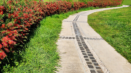 Fototapeta premium Landscaped park pathway with concrete paving stones, decorative cobblestone and white pebble borders, lined with red bottlebrush shrubs (Melaleuca viminalis).