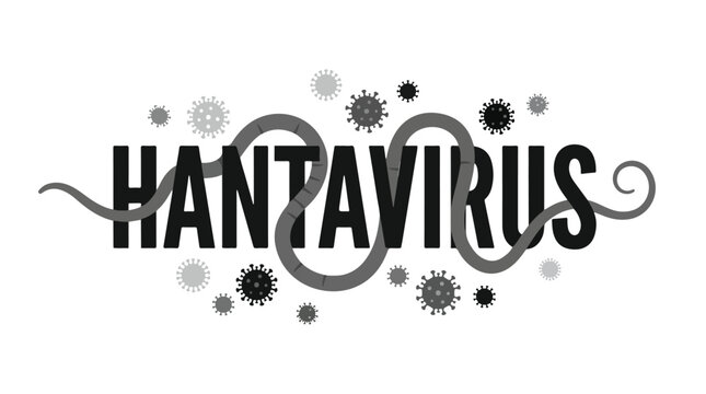vector flat typography "Hantavirus" 006