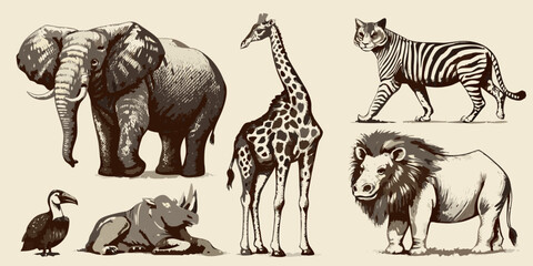 African wildlife sketches elephant giraffe zebra lion and more © Juran