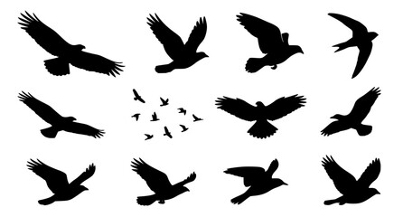 Obraz premium Flying Bird Silhouette Pack Minimal Wildlife Vector Collection