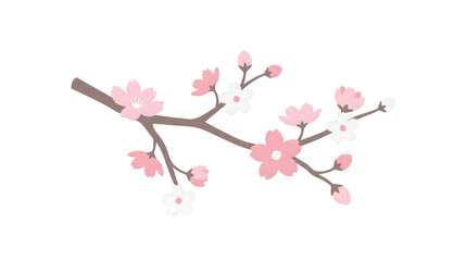 Fototapeta premium Pink cherry blossoms on a branch