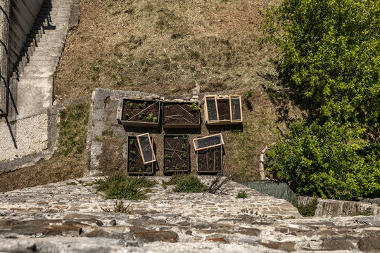 Aerial-style top view of vegetable cultivation in wooden raised garden beds in the historic town of Motovun, Croatia. Captured from the medieval city walls during a scenic walk, the image showcases ur