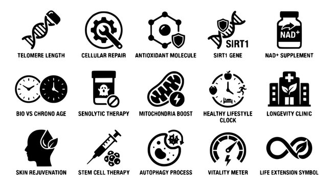Longevity and anti-aging concepts illustrated in simple black graphics