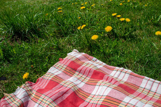 The red, white, and yellow patterned picnic blanket laid on green grass with a dandelion flowers around, Season