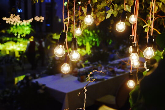 Festive string lights with vintage bulbs hanging in a garden at night event