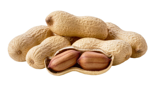 Pile of whole unshelled peanuts and one opened peanut revealing kernels, isolated on transparent background