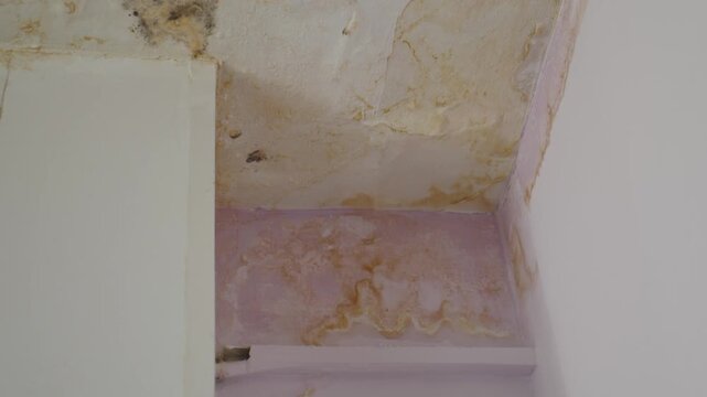 Cracked and peeling ceiling due to moisture or wet pipe or leakage indoor. Old roof needing repair and reconstruction renovation and imporvement. Neglected humidity problem drywall. 4 k video