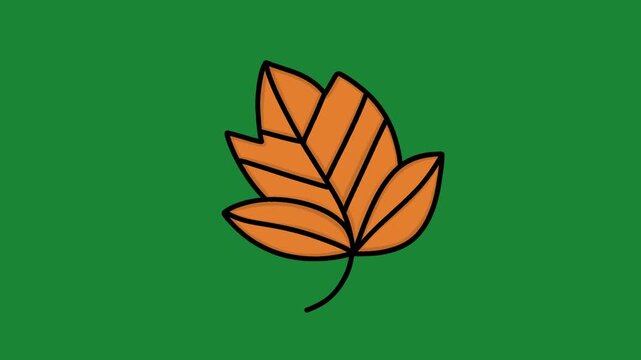 Hand-Drawn Autumn Maple Leaf 2D Animation on Green Screen | Falling Orange Fall Leaf Animated Asset | Frame by Frame Nature Motion Graphic