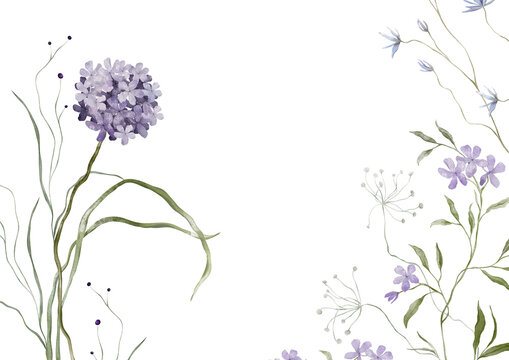 Horizontal Banner watercolor illustration with violet wildflower botanical cornflowers. Rectangular Frame with hand drawn illustration hydrangea, phlox and long thin green grass on isolated background