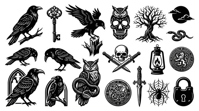 Detailed Black  White Gothic Fantasy Vector Illustration Set: Crows, Skulls, Keys, and Mystical Dark Symbols  Elements