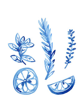 Watercolour hand drawn sliced lemon, mint, rosemary and thyme. Brush line illustration with herbs use as print, poster, card, invitation, menu design, textile, package, wrapping paper, label, sticker.
