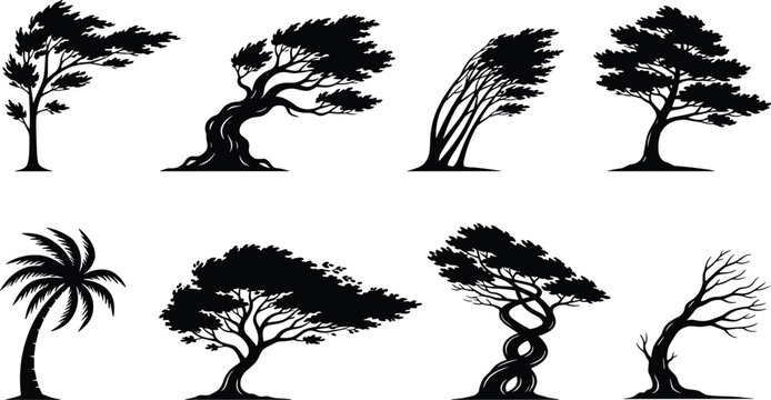 Black Windblown Tree Silhouette Vector Set with Palm Bonsai and Twisted Nature Trees Illustration