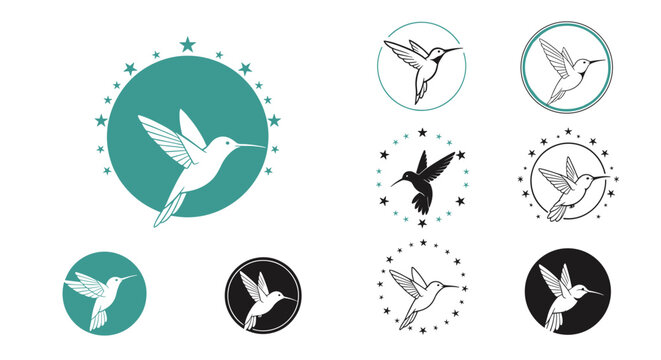 Diverse collection of hummingbird logo designs features the bird in various flight positions within circular frames and star patterns.
